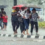 images 2026 08 14t122813.045