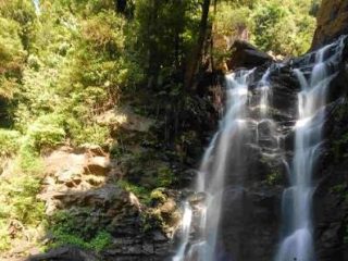 images 6