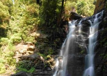 images (6)